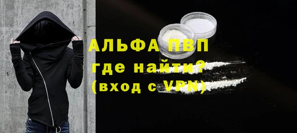 СК Алексин