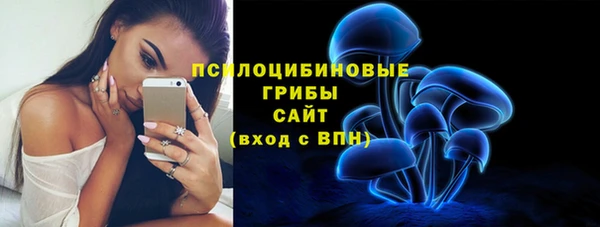 spice Алзамай